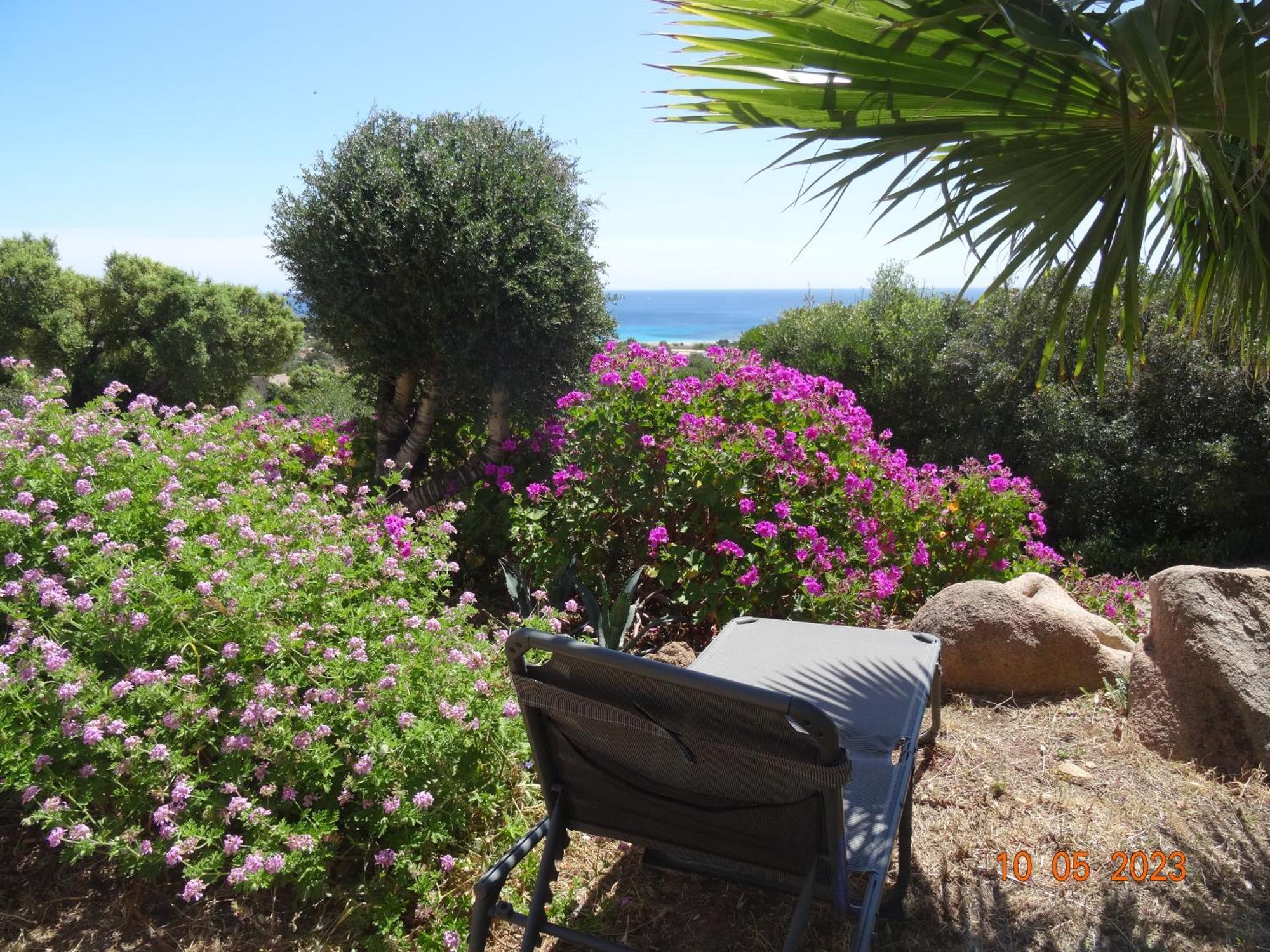 Villa Independante 2/5 Personnes - Palombaggia Vue Mer Magnifique Porto Vecchio Extérieur photo